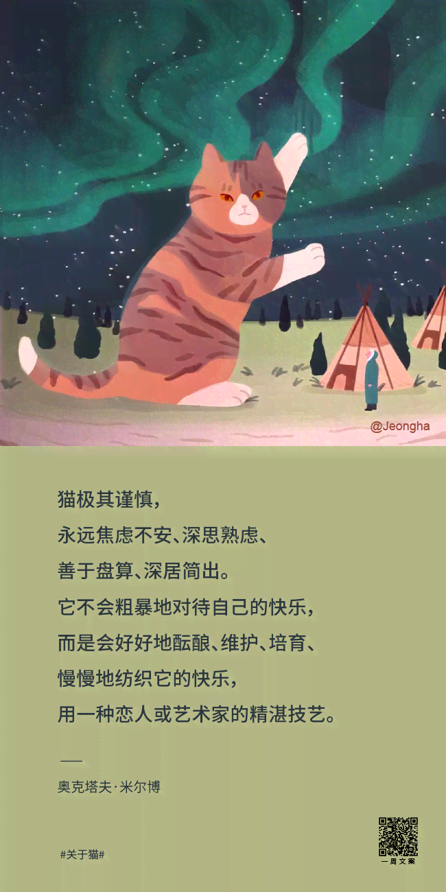 ai猫自愈文案