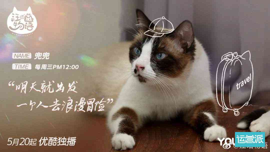 ai猫自愈文案