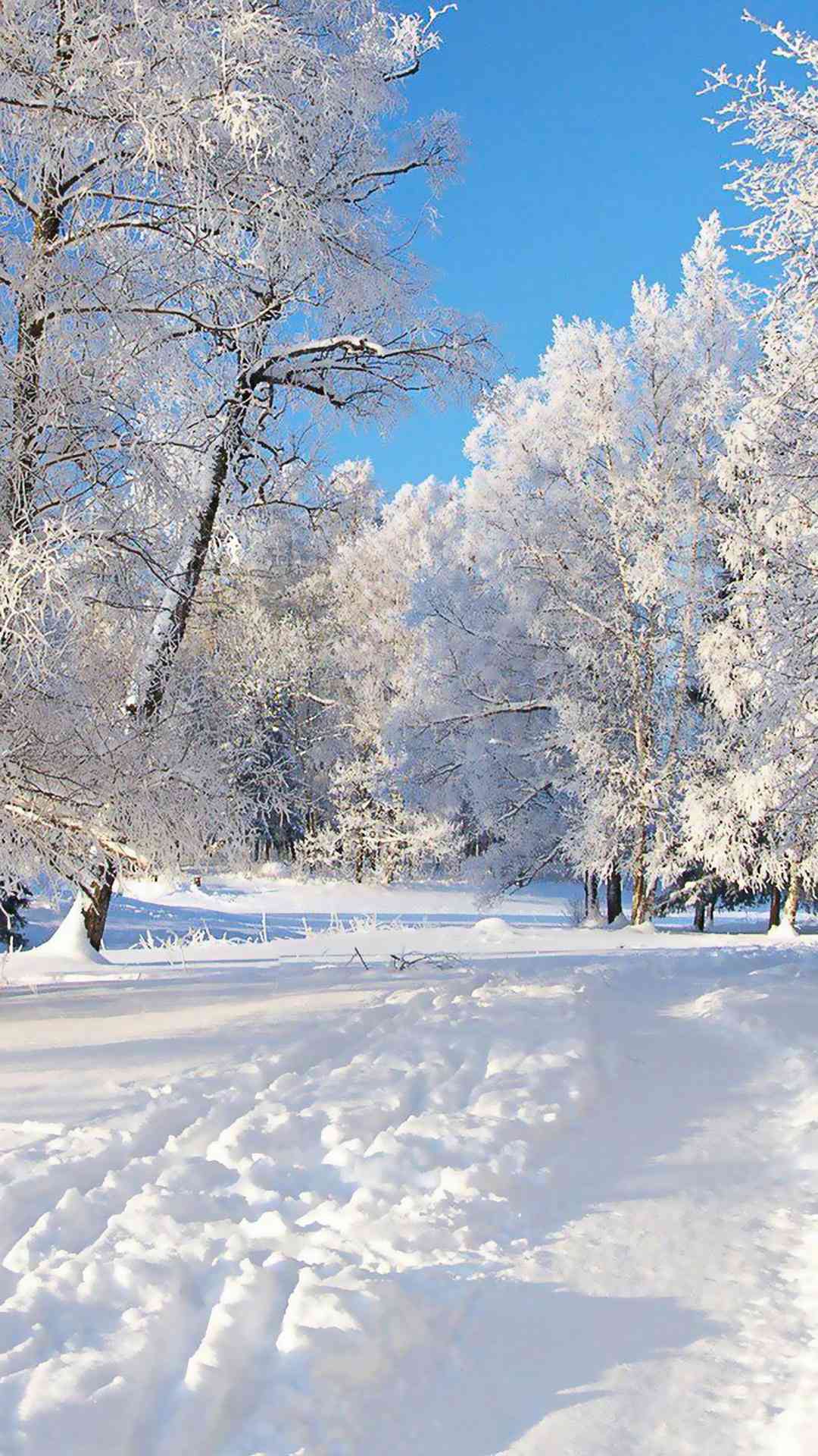 ai雪景壁纸文案中国风：打造古典诗意，领略东方美学