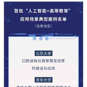 人工智能应用典范：AI成功案例精选汇编