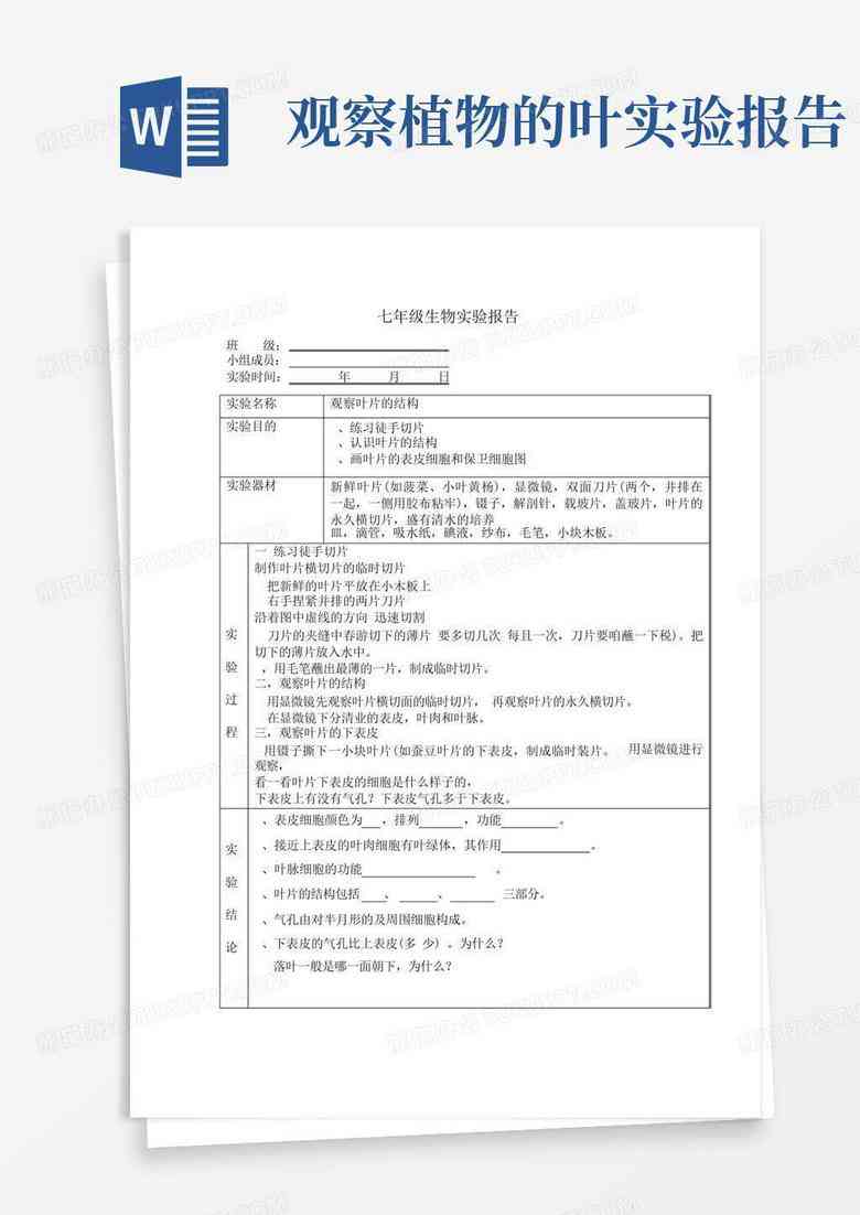 ai实验报告模板：免费、总结与报告