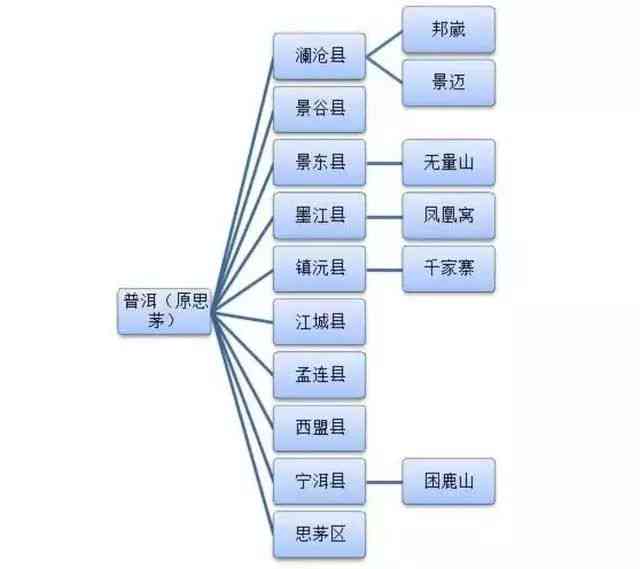 全方位解析银行服务与产品：满足您所有金融需求的权威指南