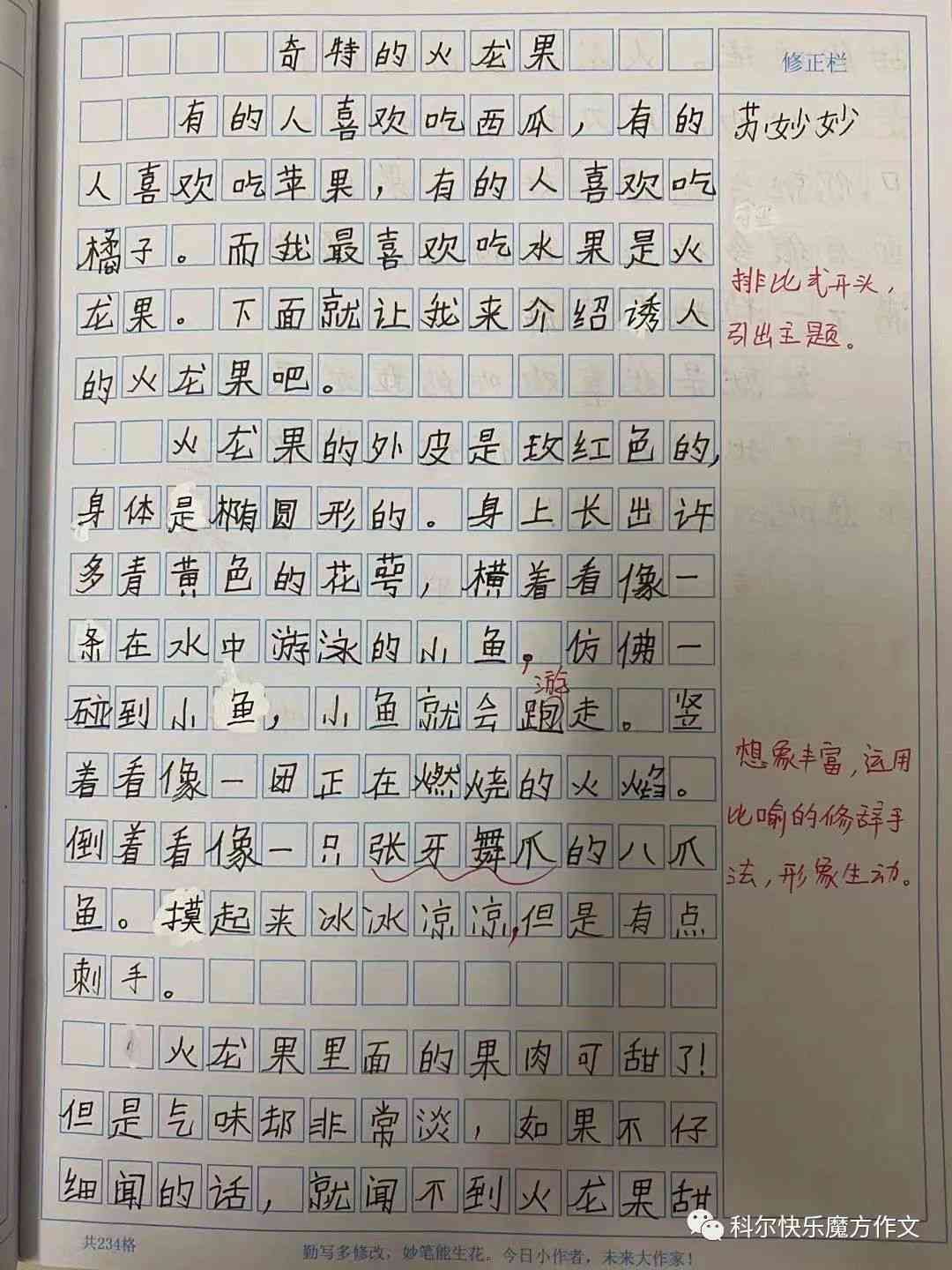 火龙果怎么写作文要500个字以上及300字简写方法