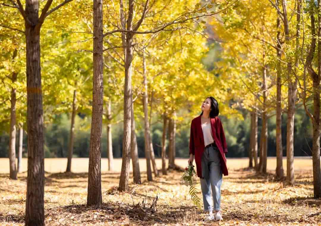 银杏拍照：人像姿势大全与配色指南，朋友圈句子精选