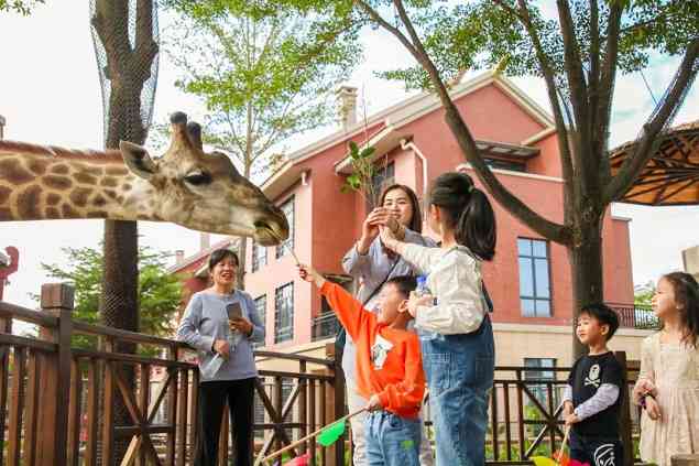 探秘动物园奇妙之旅：一站式了解动物知识、互动体验与亲子活动攻略