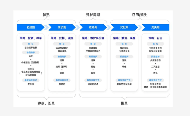 智能客助手：佳写作AI助力高效营销