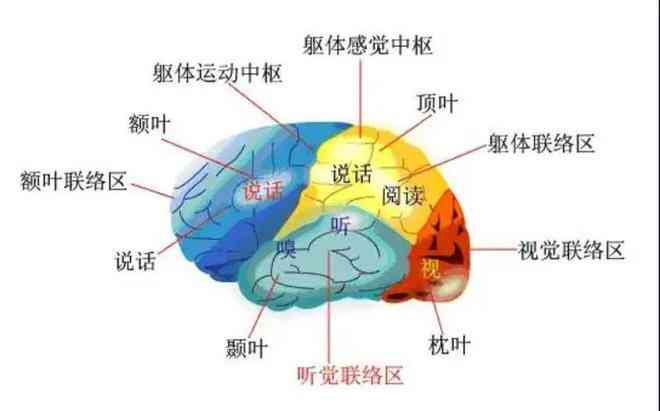 '人工智能绘画艺术中，算法与创作者共同决定创作思想的机制解析'