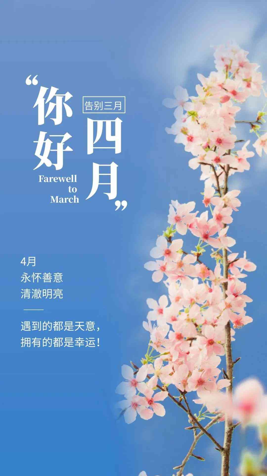 全面盘点：2023年度文案创作与编辑推荐指南