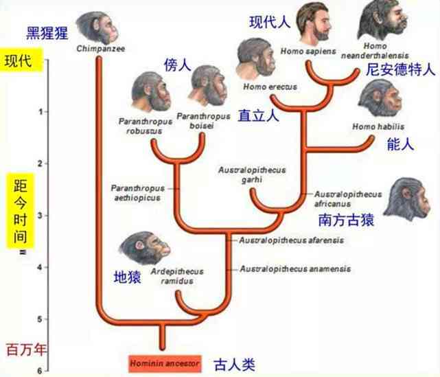 探索人类写作活动的起源与发展历程：从古至今的演变解析