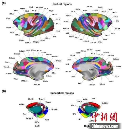 AI云纹图案制作详解：从基础绘制到高级技巧全方位教程