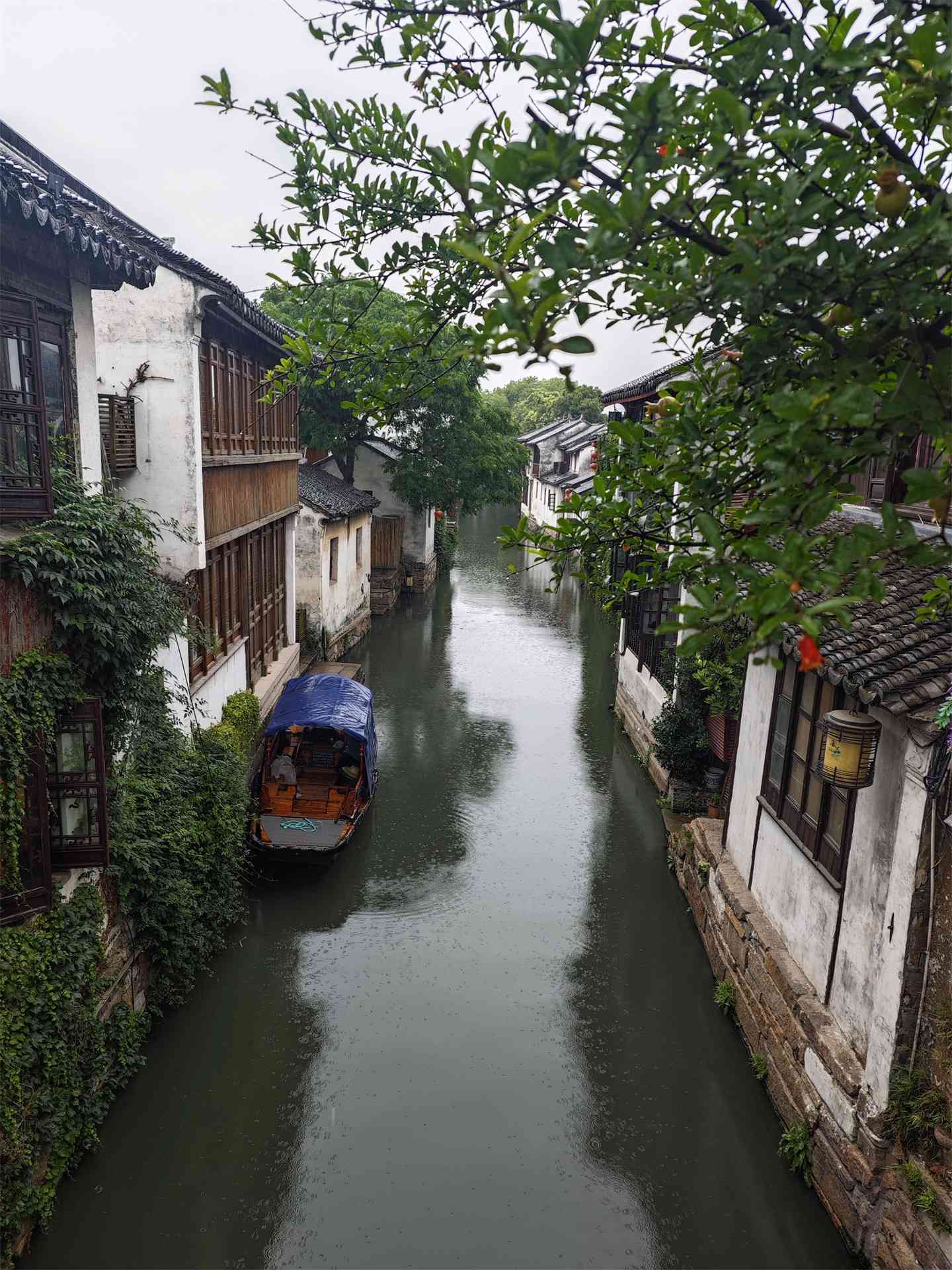 烟雨江南：探寻水乡小镇的韵味美文