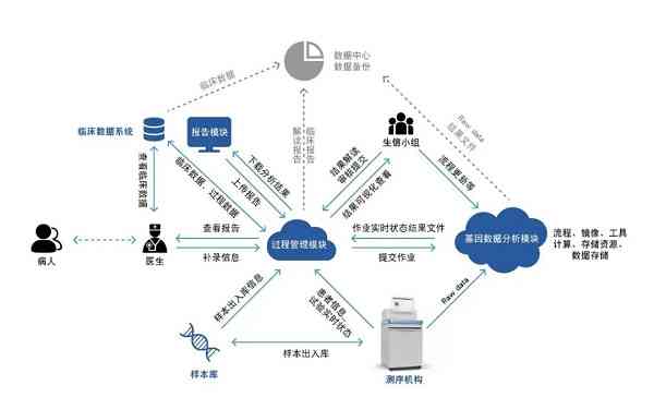 信速科技全方位解决方案：揭秘高效通信与数据处理技术及服务详情