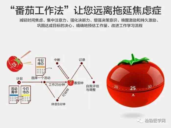 高效番茄工作法助力作业时间管理：番茄写作业法新升级