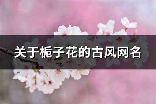 浓情蜜意：爱情文案里的浪漫情怀