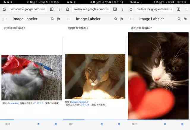 '智能写作助手：猫咪灵感陪伴'