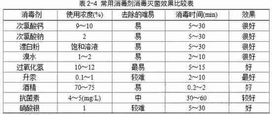 生物虚拟仿真实验心得体会：实验室总结范文与仿真实验体会分享