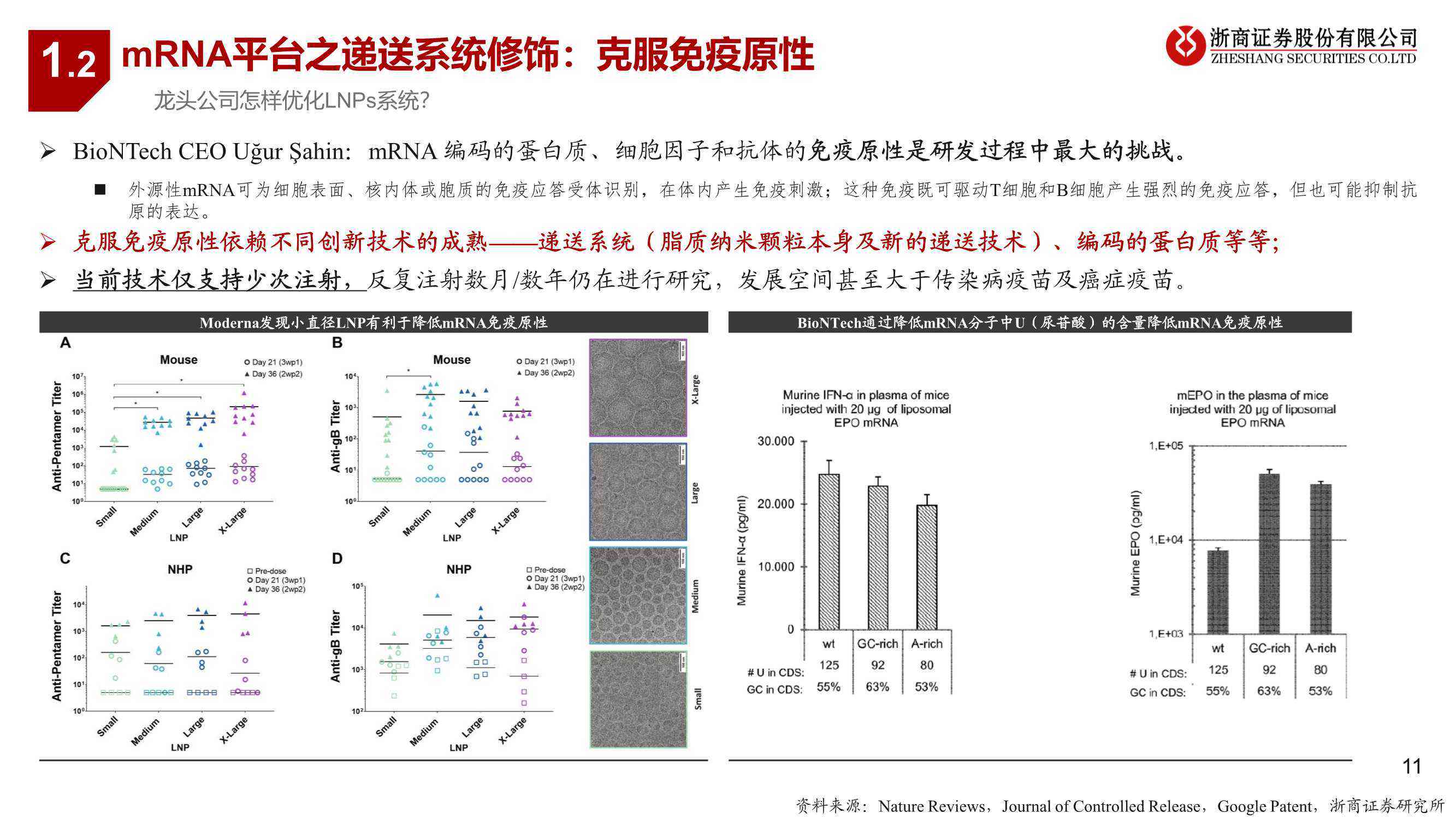 ai虚拟生物变异技术实验报告