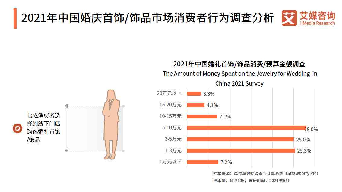 ai服装市场调研分析报告怎么写：2021数据深度解析与调研分析表