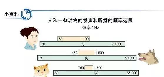 '基于AI技术的单纯音听均值听力测试报告分析'