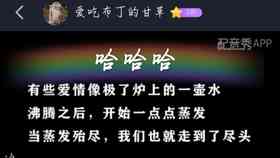 全面收录！免费情感语录配音素材库，满足各类情感表达需求