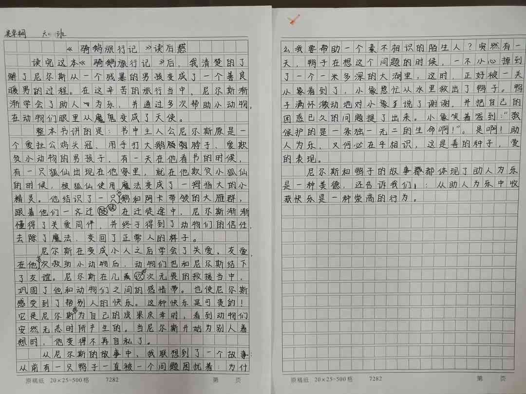 《沐浴书香之光——以阅读为翼的感悟之旅800字》