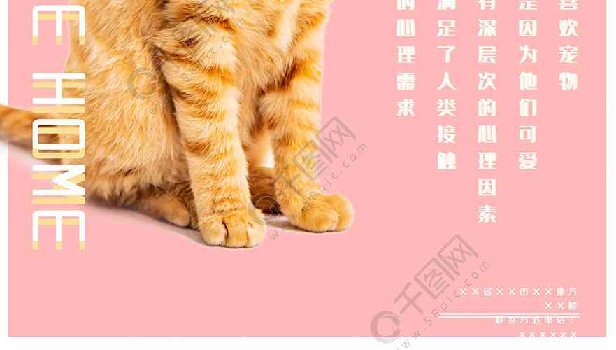 驯服ai猫咪文案句子大全