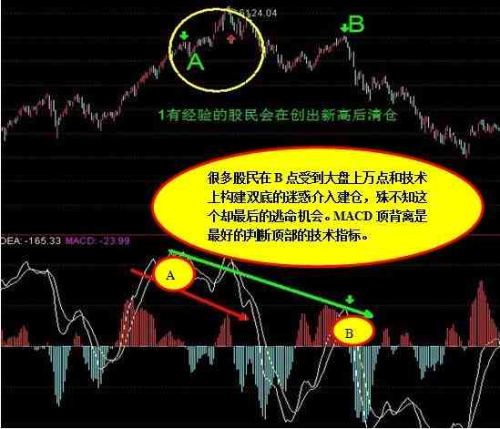 深度解析：掌握写作技巧的全方位理由与实际应用