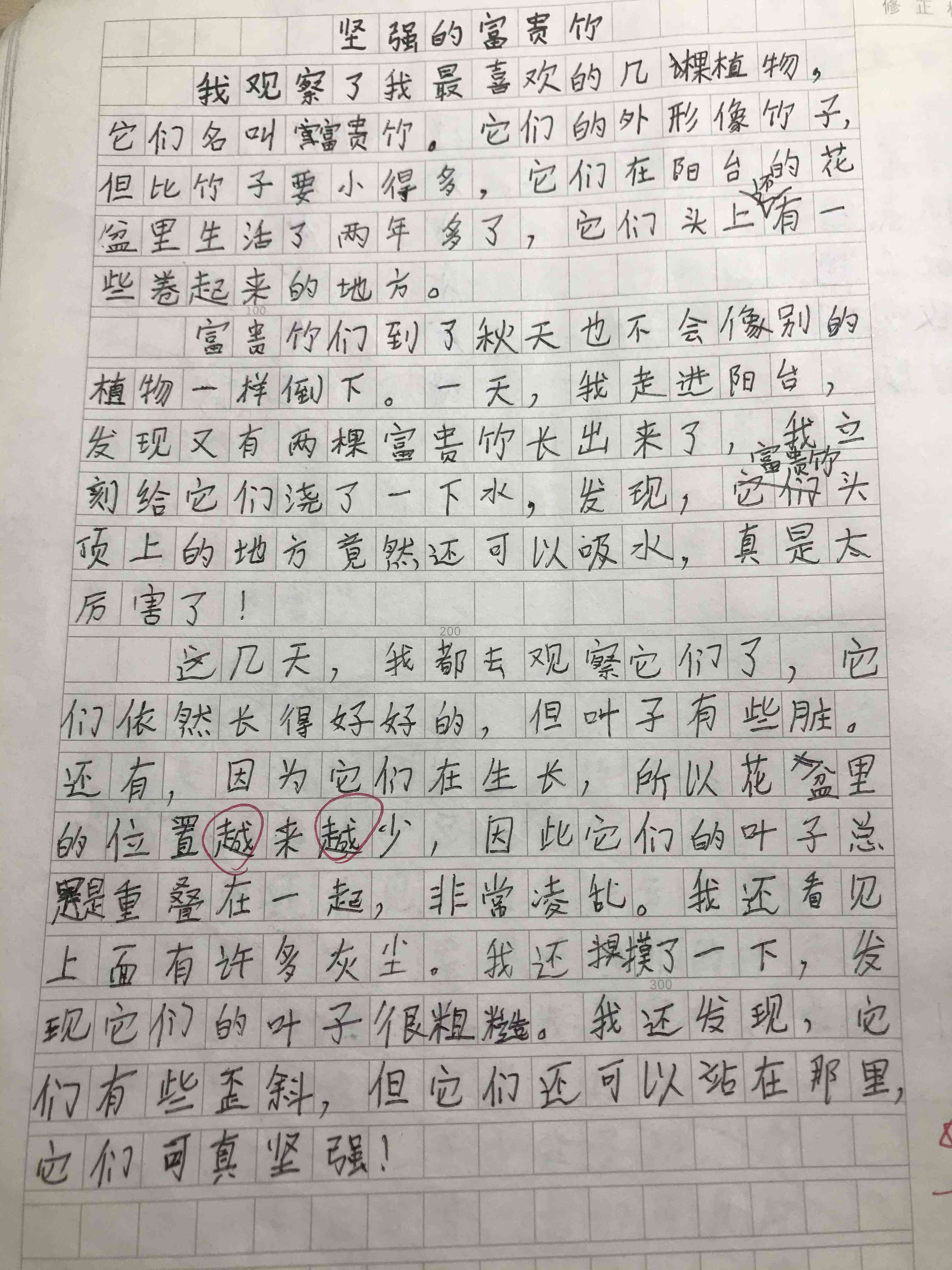 探索你好AI：如何运用智能写作助手高效作文