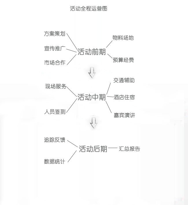 线上引流策略：全面解析与实战策划案，涵活动方案及不包括内容