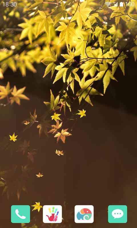 秋日韵律：舞动中的花瓣飘落画境