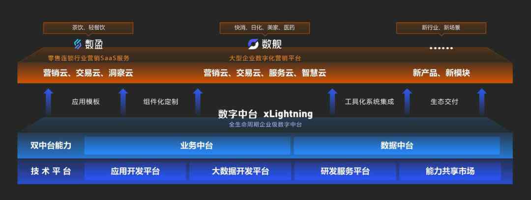 全面评估IT项目实：可行性研究与分析报告指南