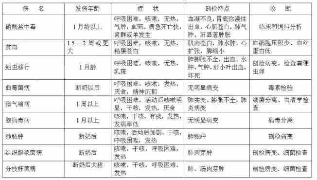 AI体检报告性别鉴定解读：全面指南解析如何准确判断男女及常见疑问解答