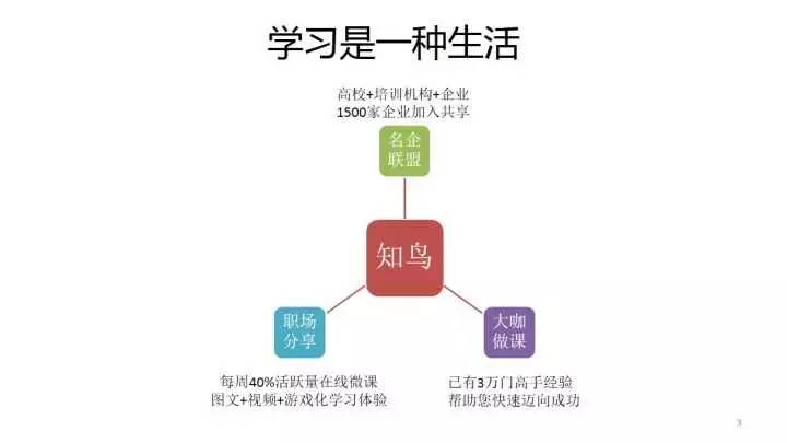 全面解析：网易文案策划岗位攻略与职业发展路径指南