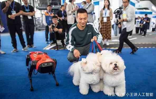 人工智能助手与宠物犬互动：AI与狗狗的馨协作新篇章