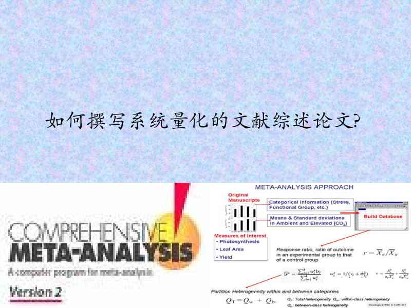 中文综述撰写标准与格式化要求解析