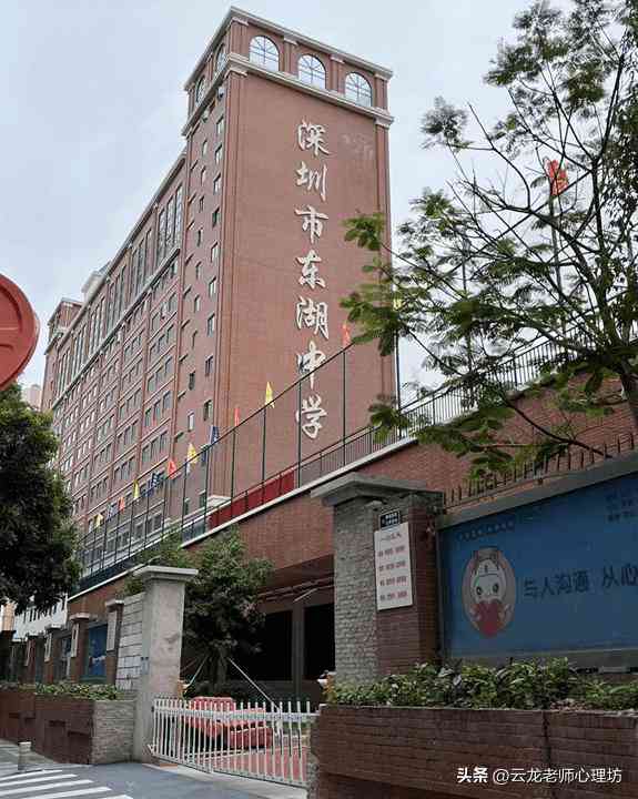 大学写作业的软件：推荐与评测，哪些软件更适合大学生做作业