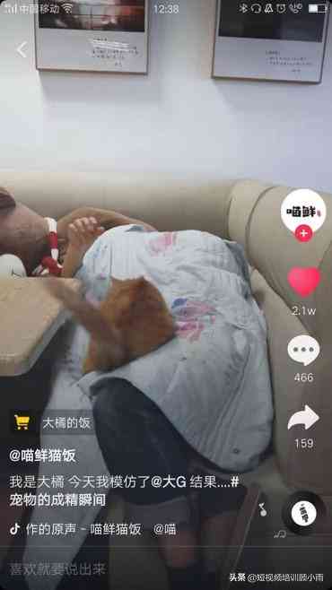 抖音标题优化攻略：全面解决视频排名与曝光提升问题