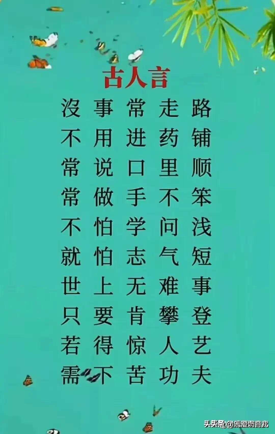 精选老人言经典语录：智慧传承与人生哲理大全