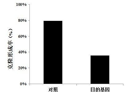 探究实验报告：结果分析与结论提炼的差异性解析