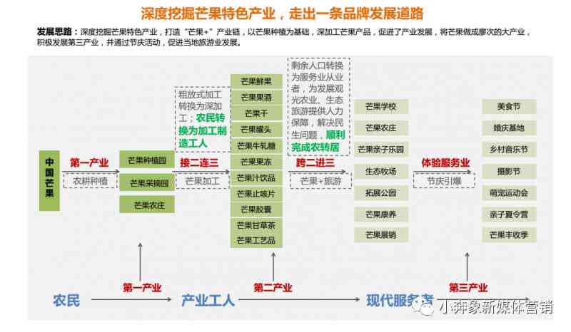 金豆介绍：全面解析金豆种类与百科知识