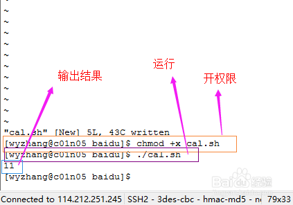 深入掌握AI脚本编写技巧：全面指南与实战训练，提升编程能力