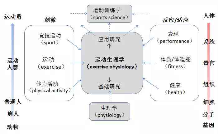 运动与健：探索运动对生理及心理影响的多维度研究课题