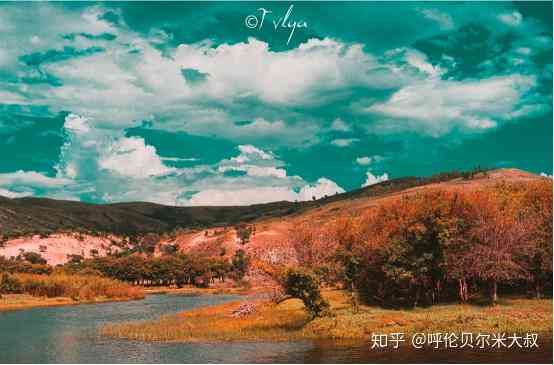 '运用AI技术打造创意风光摄影：打造独特风景照片文案攻略'