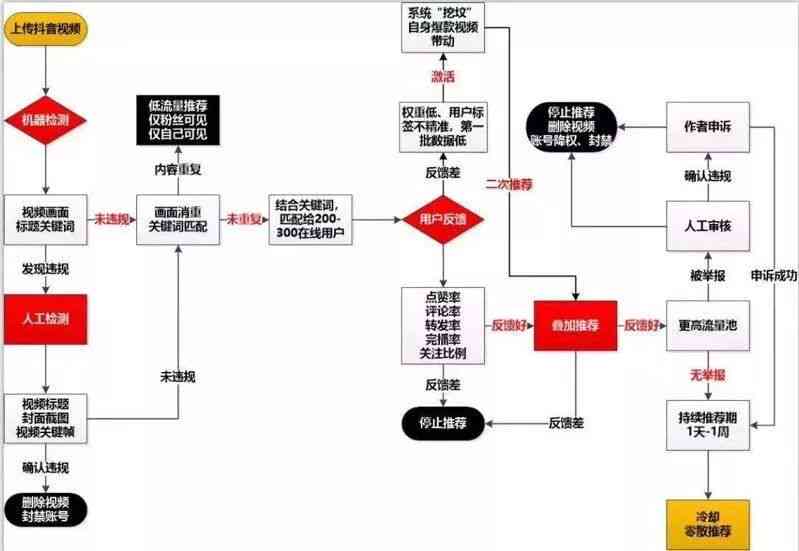抖音脚本开发：全面教程与生成器，涵编写方法、源码解析与实践技巧