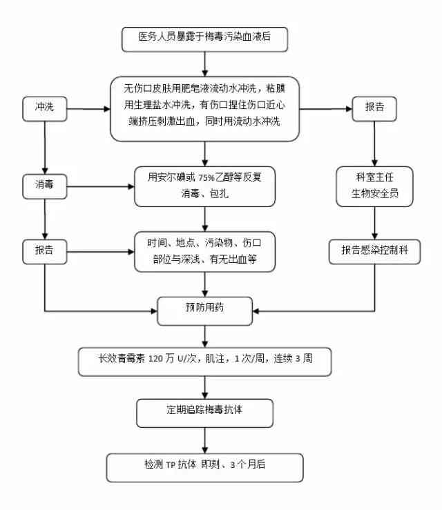 插画合作流程解析：从接单到交付的全步骤指南