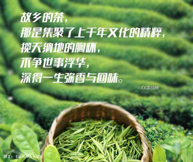 ai绿茶广告文案怎么写的好看，附范文与写作技巧