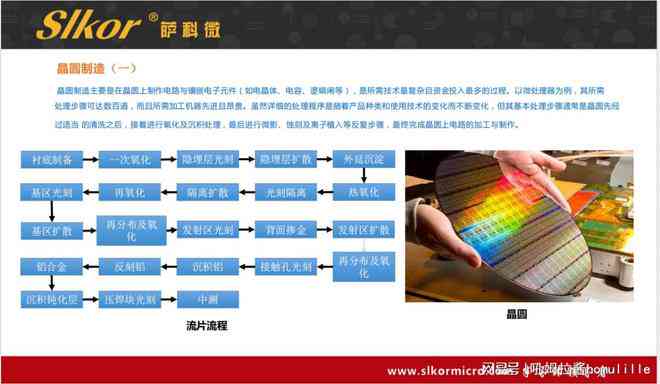 全面解析：智能机器人应用范围、优势与精选传口号汇编