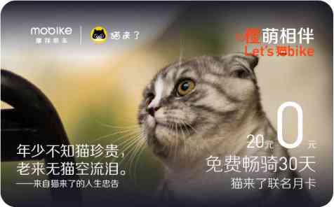 猫咪AI问答服务：揭秘收费真相与真实体验
