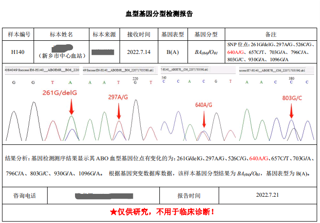 血型报告ai亚型鉴定