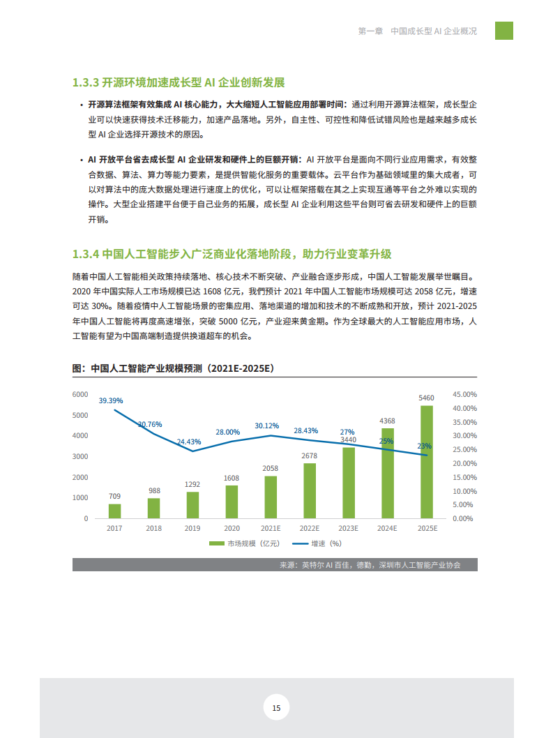 ai实验报告书